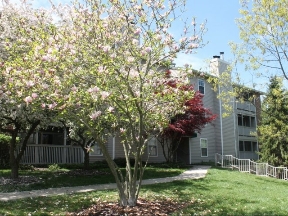 Lincoln Woods Apartments Image 3