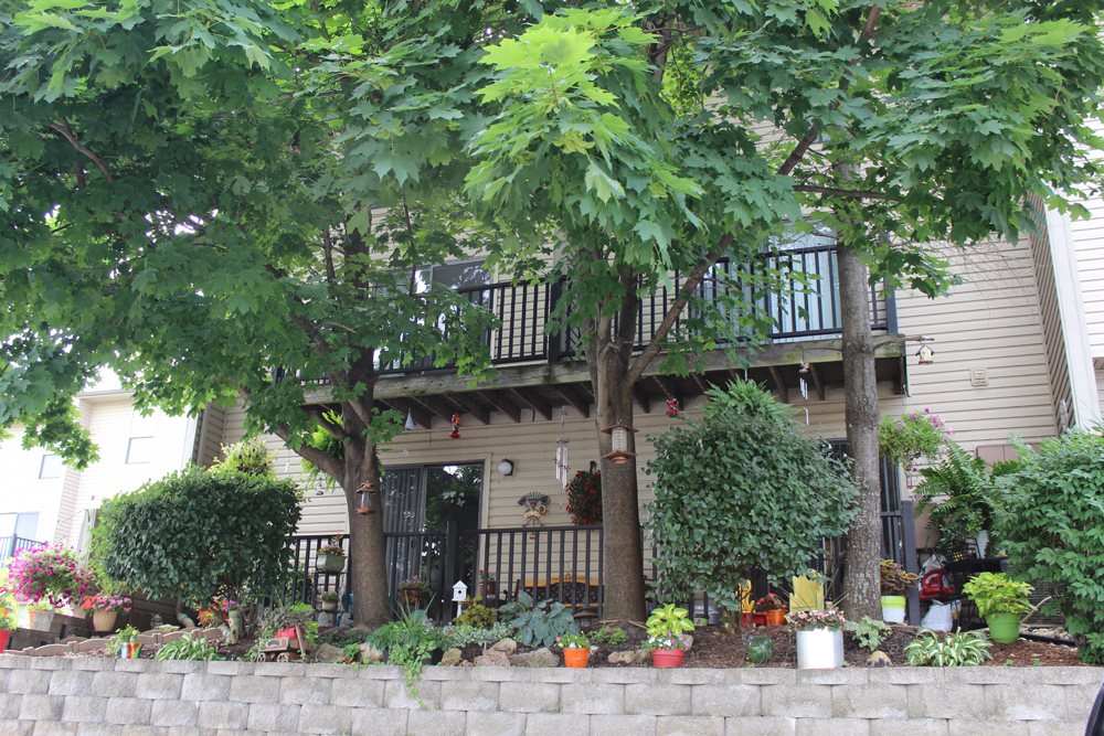 Westchester Village Image 2