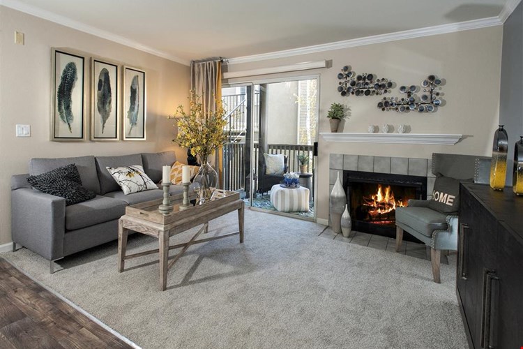 Mill Springs Park Apartment Homes Image 13