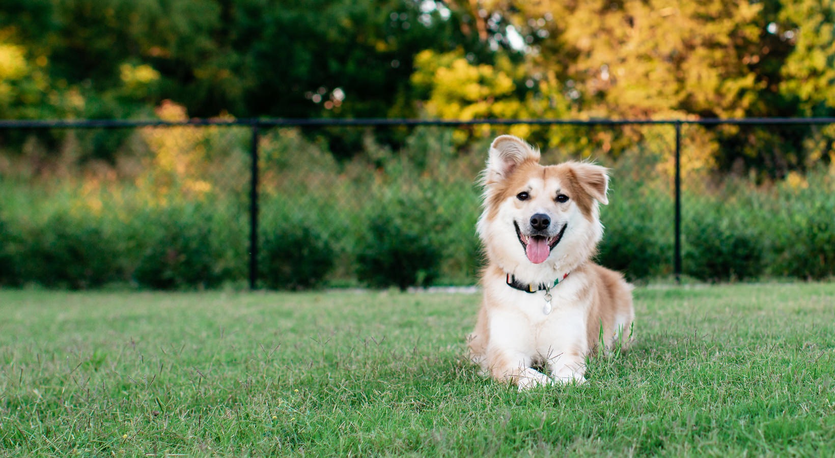 Sedona Place Image 2