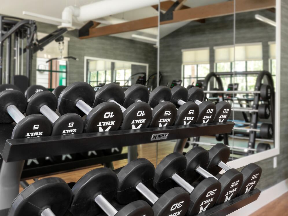 Fitness center with strength equipment