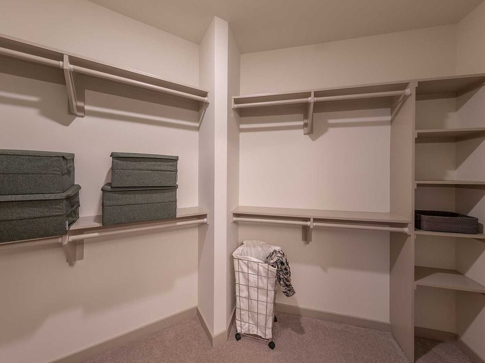 Spacious, walk-in closet