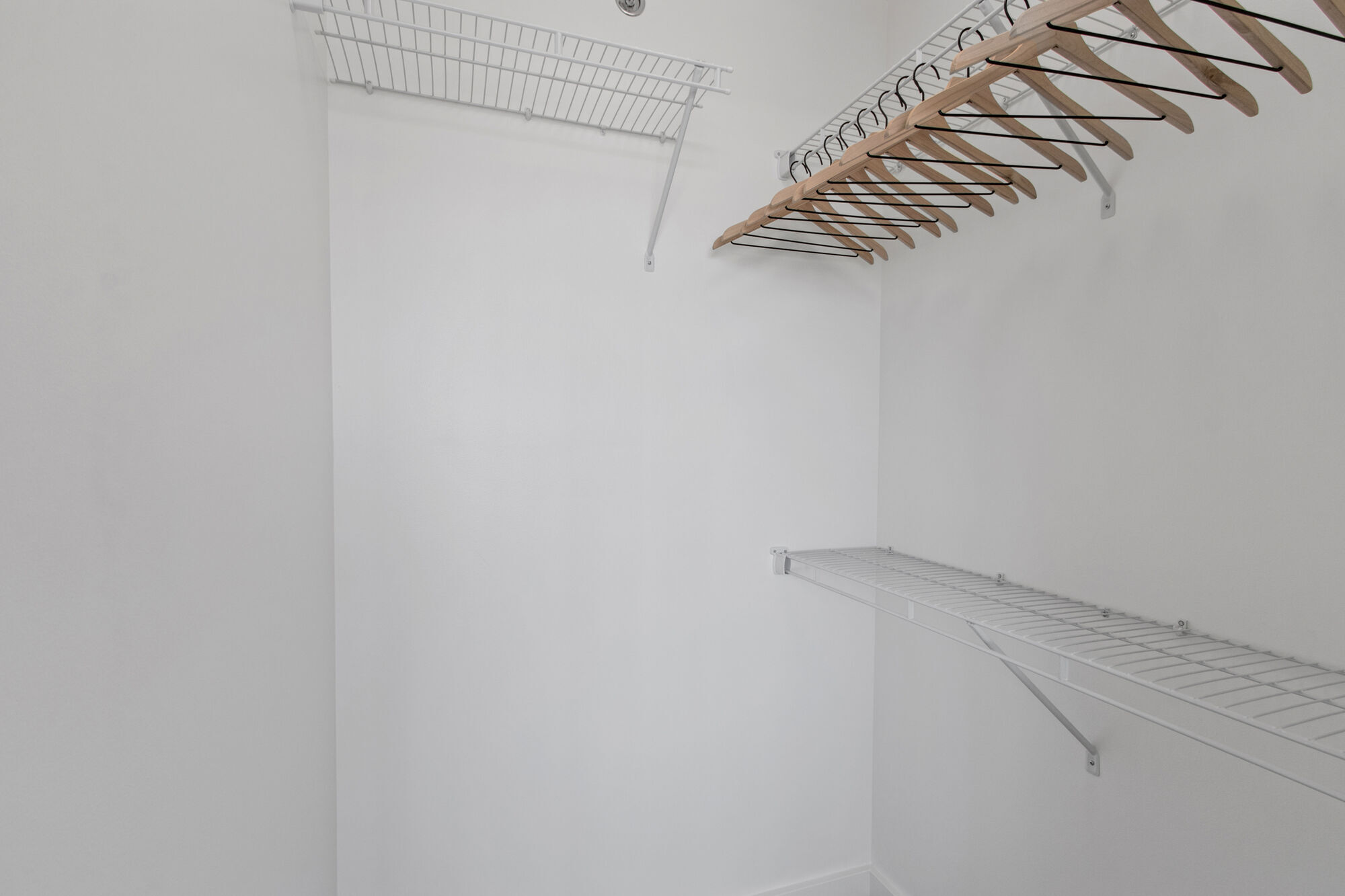 One City Center Apartments Image 8