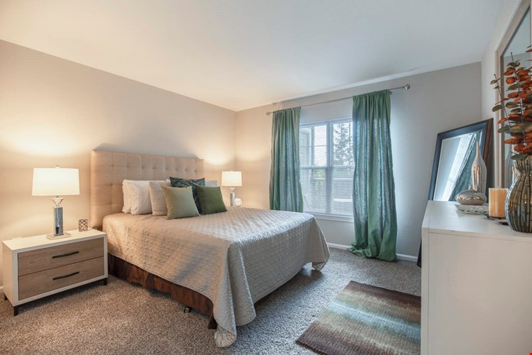 The Point at Still River Image 6