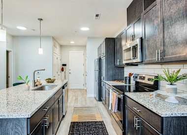 Bold on Boulevard Image 6