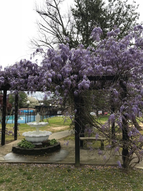 Granada Apartments Image 10