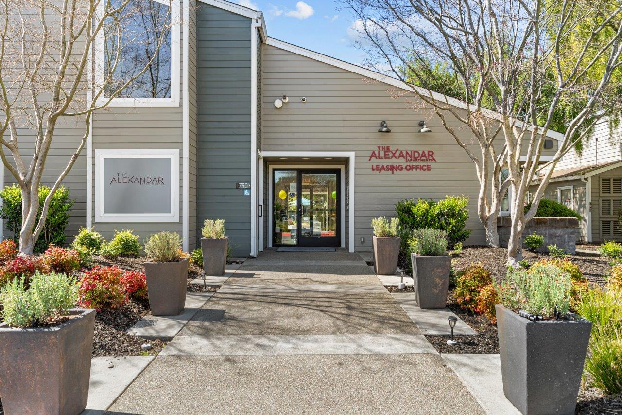 The Alexandar Image 6