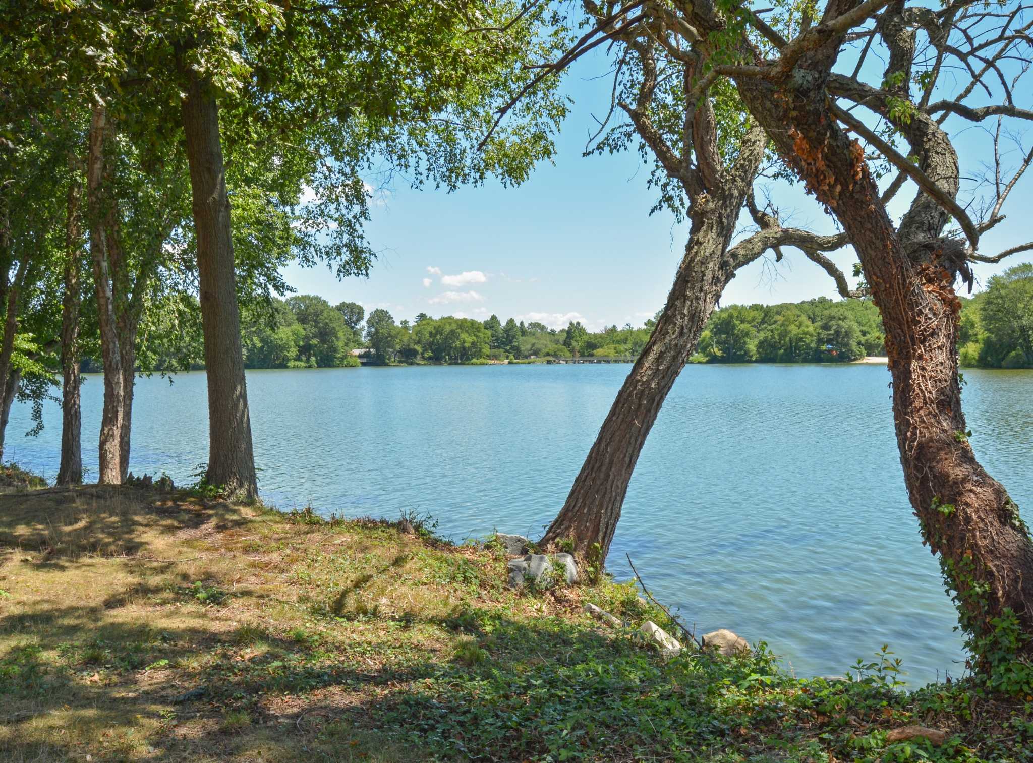 Lake Club Apartments Silver Lake