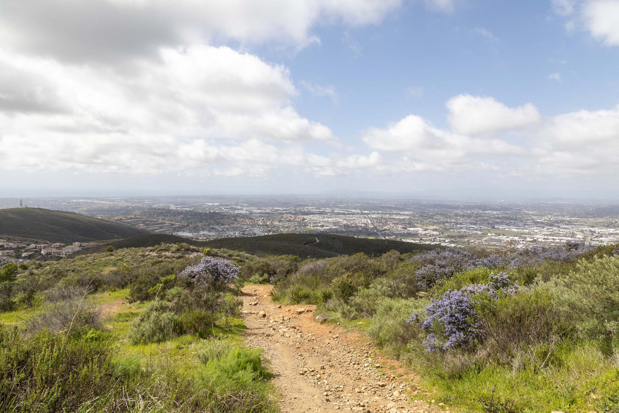 Camden Old Creek Image 44