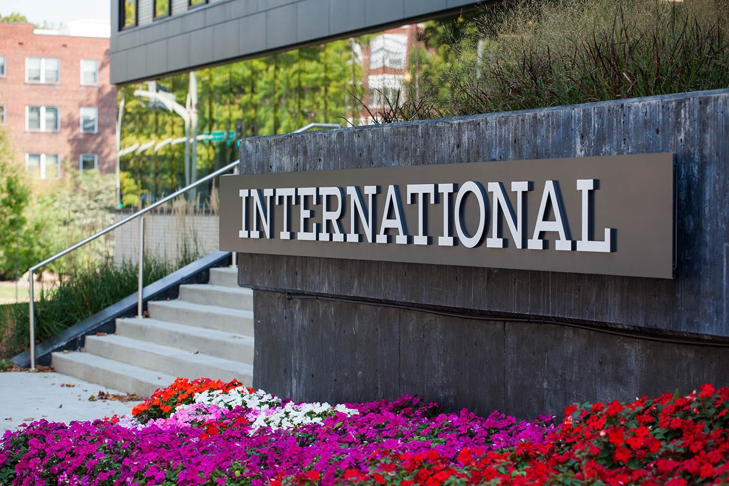 International Image 18