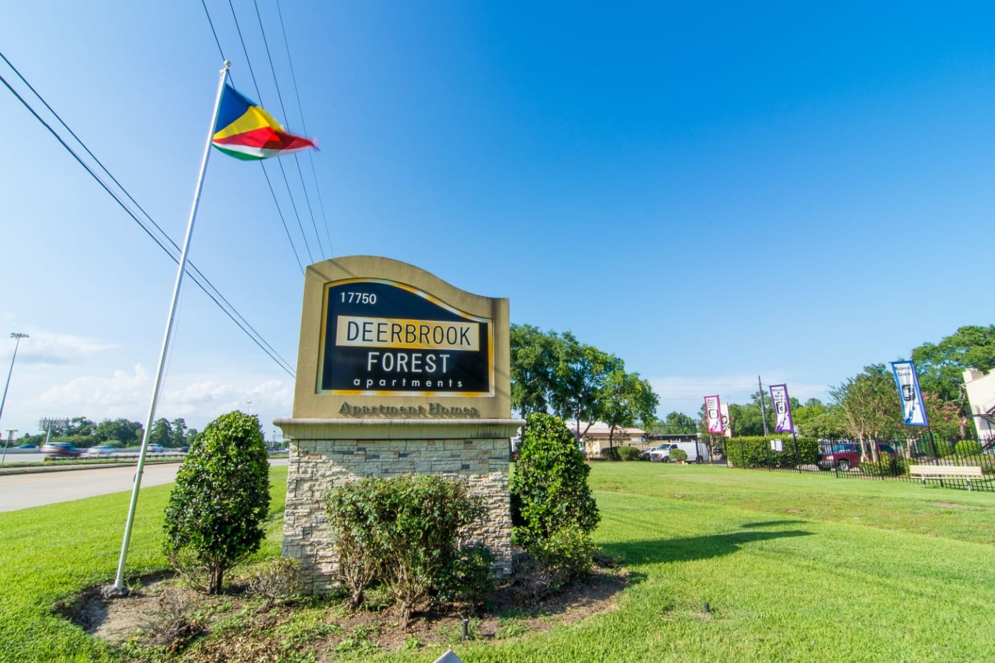 Deerbrook Forest Image 1