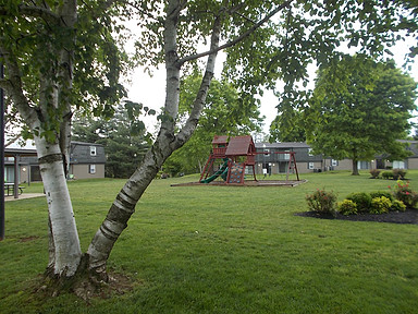 The Avery Image 3