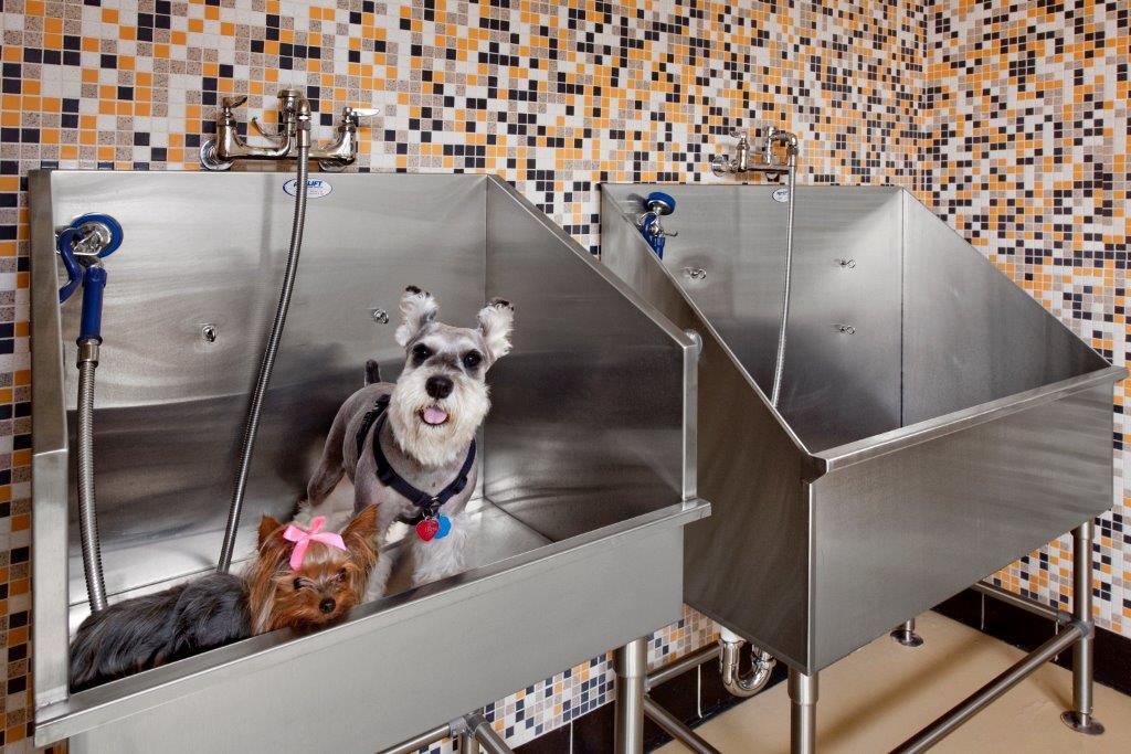 Westchester at the Pavilions Image 7