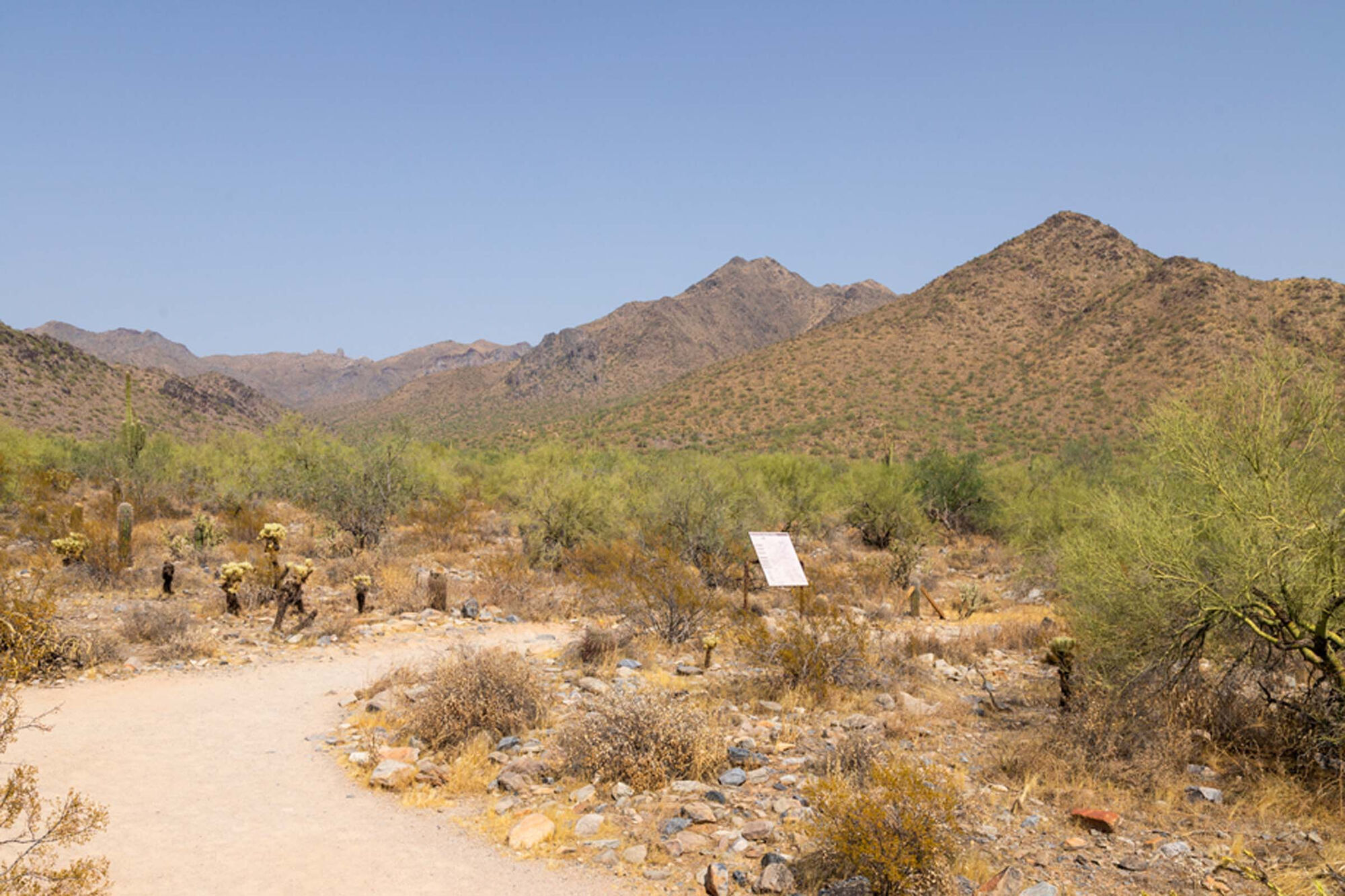 Camden Legacy Image 36