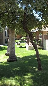 Rancho Ladera Image 4