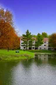 Fox Run Image 1