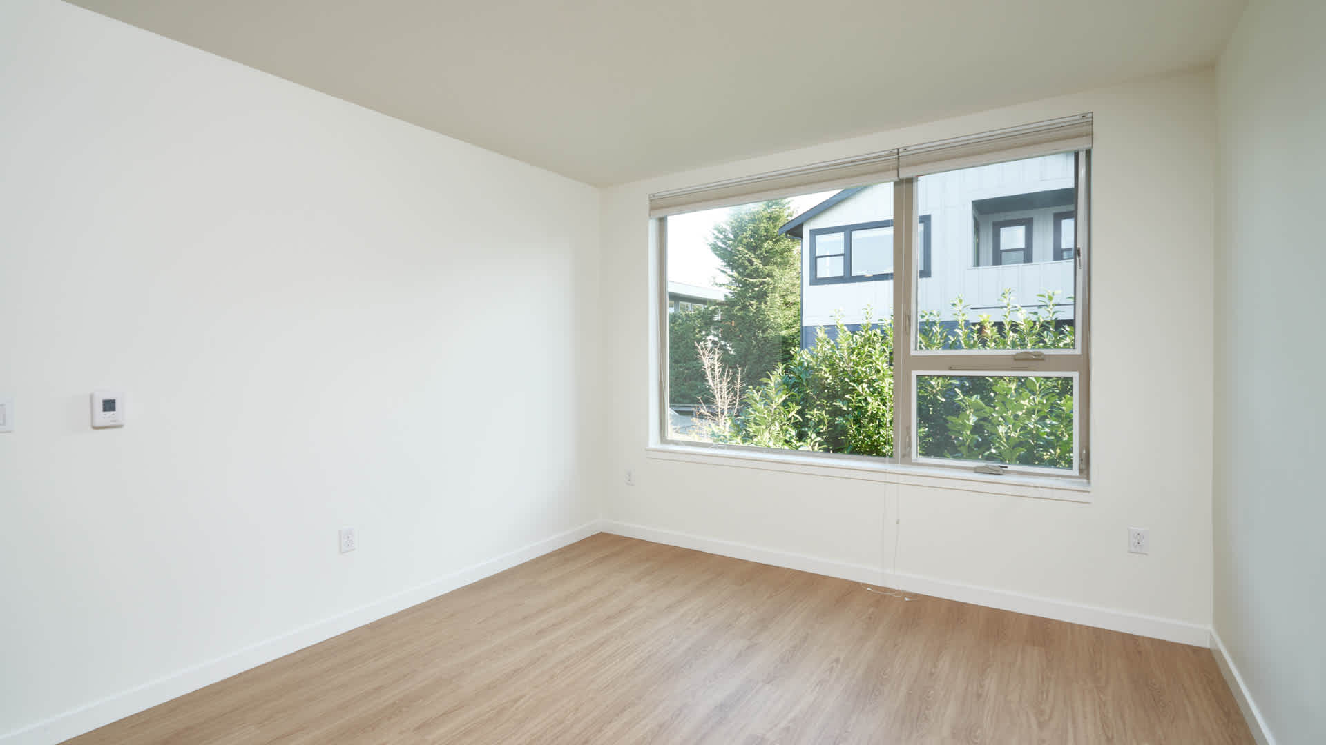 Springline  Image 13