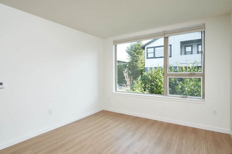 Springline  Image 13