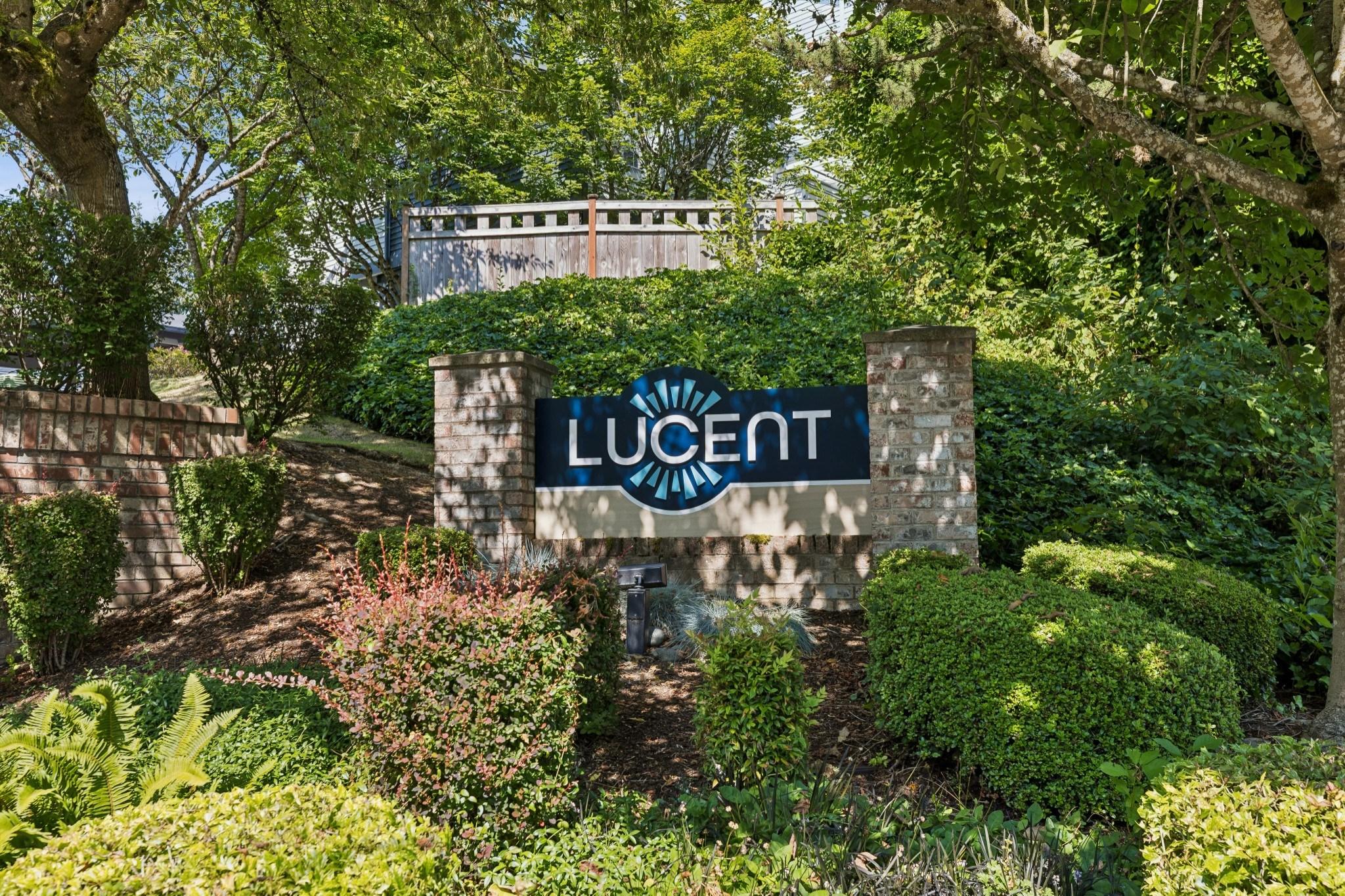The Lucent Image 38