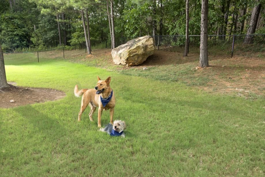 Camden Stockbridge Image 17