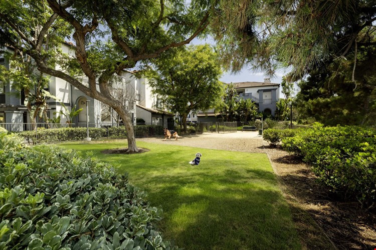 Camden Crown Valley Image 27