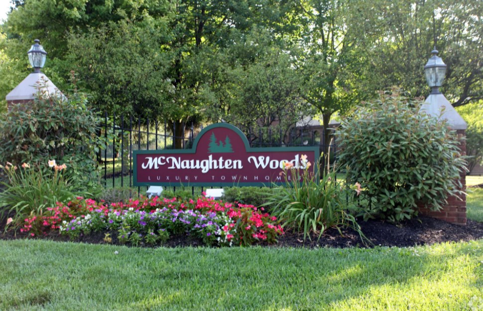 McNaughten Woods Image 1