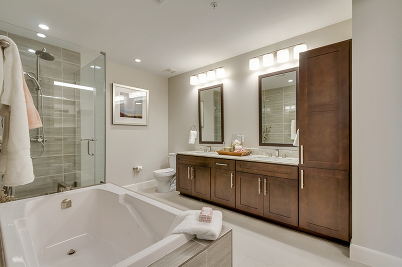 Spa like Bathroom