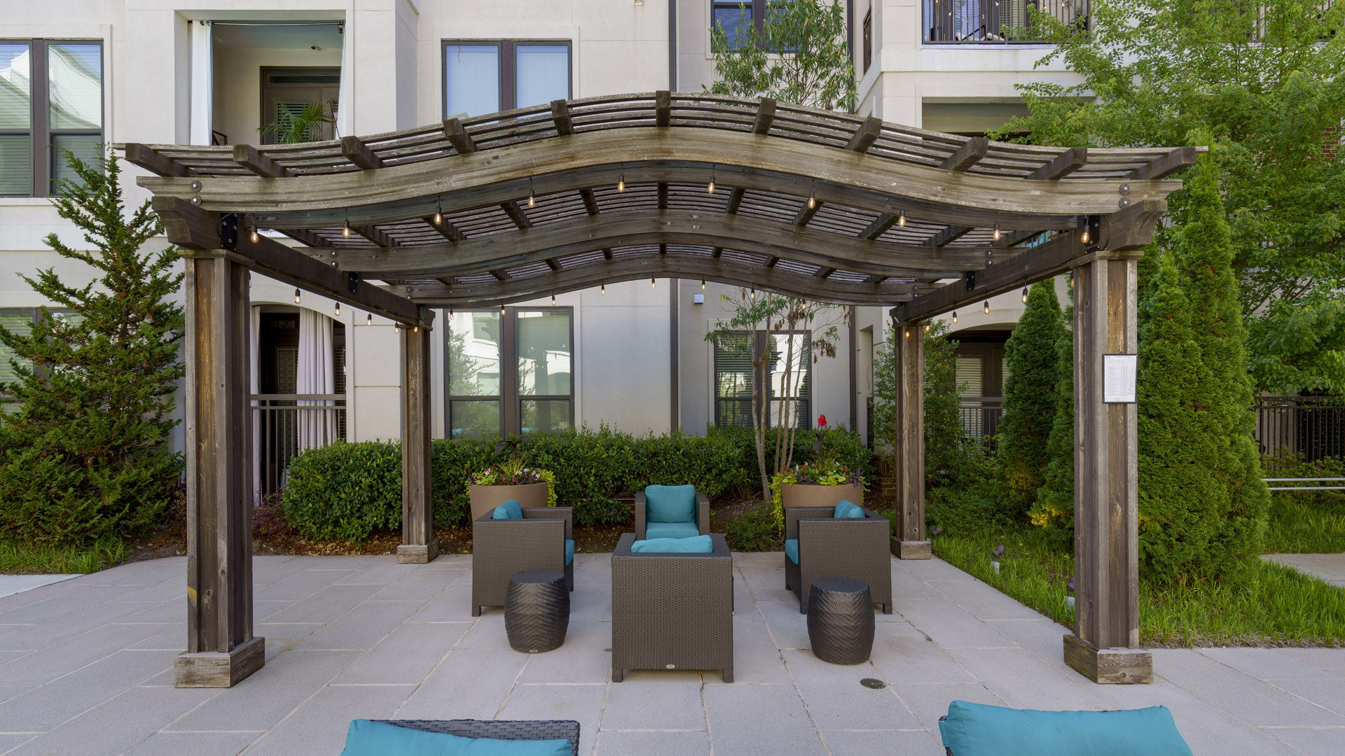 The Collection Image 17