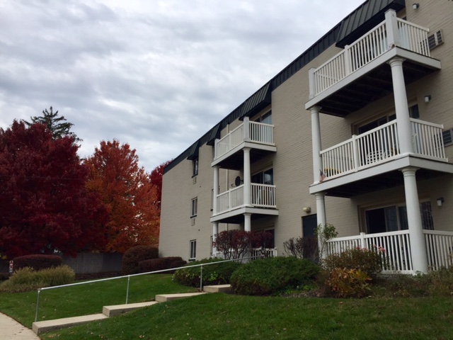 Executive House Apartments Image 3