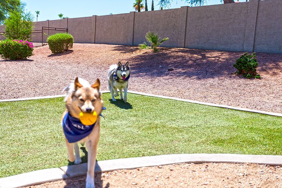 Camden San Marcos Image 33