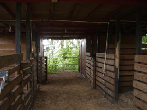 Lake Worth Ranch Image 6