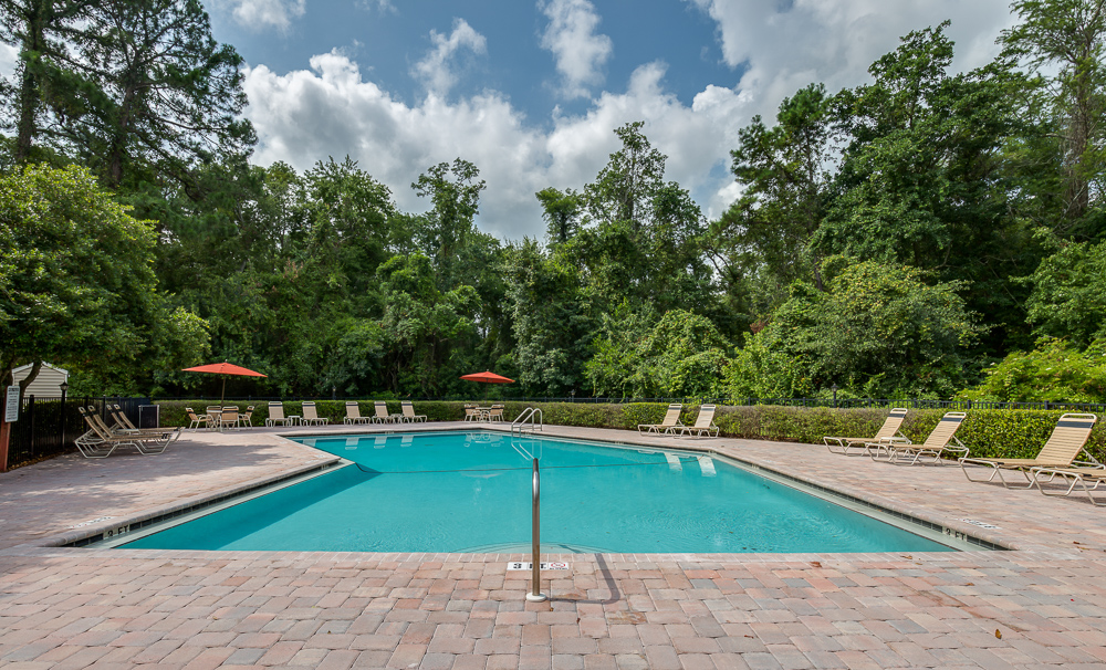 Cypress Cove Image 6