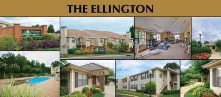 The Ellington at Kirby Image 9