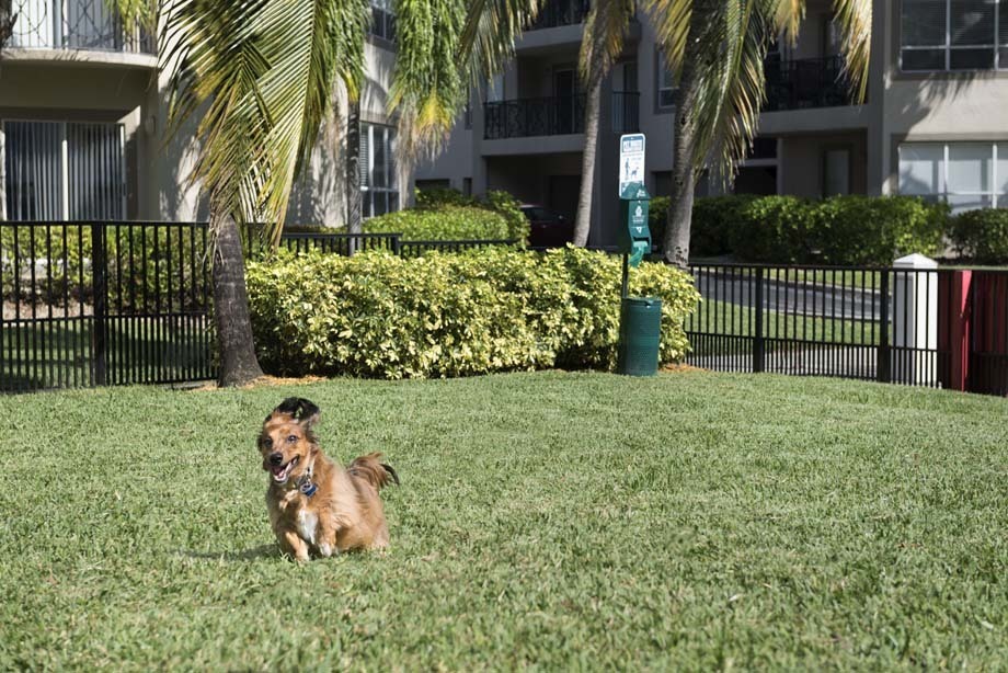 Camden Aventura Image 22