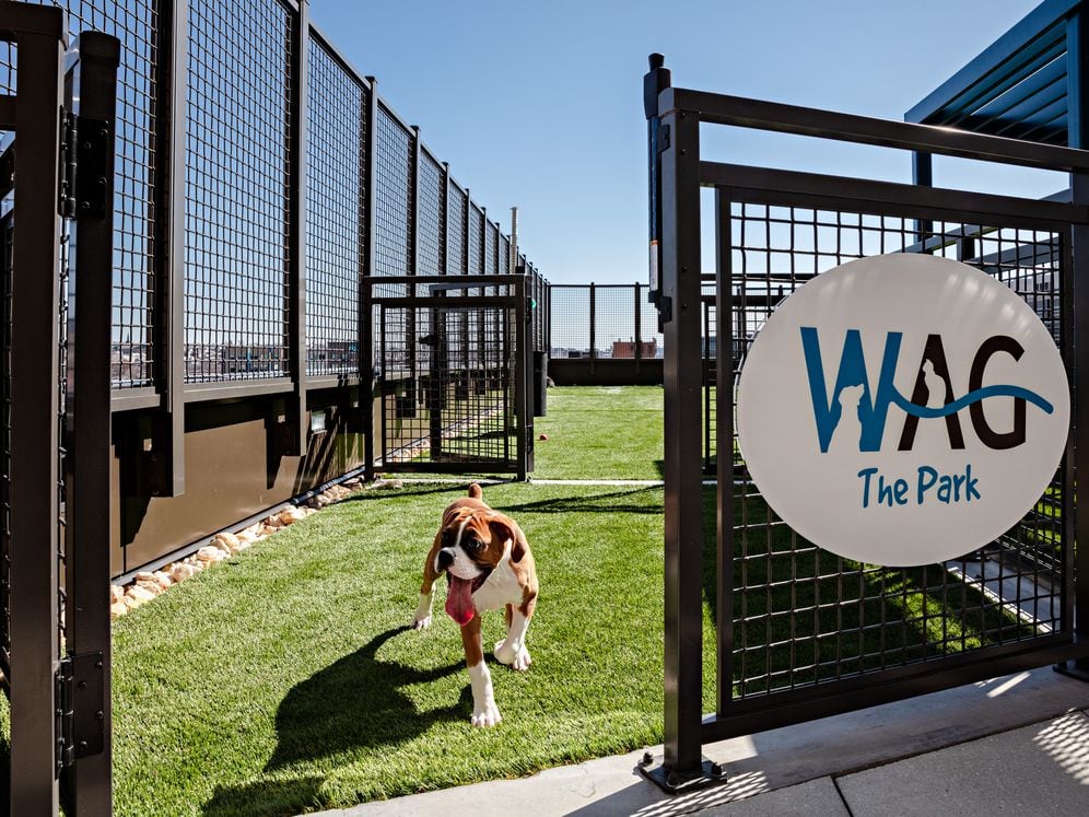 WAG Pet Park