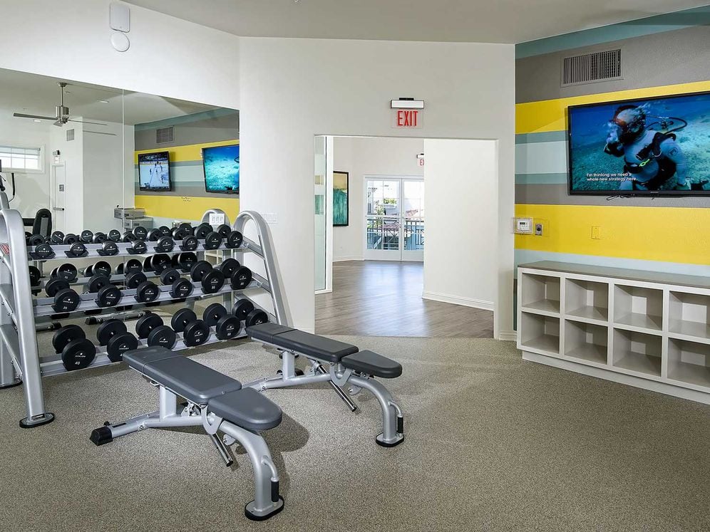 Fitness Center with Strength Equipment