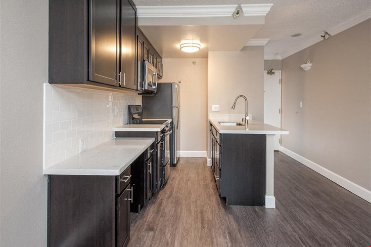 Tower 737 Condominium Rentals Image 8