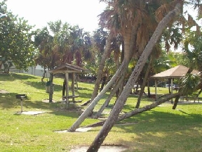 The Brittany Image 6