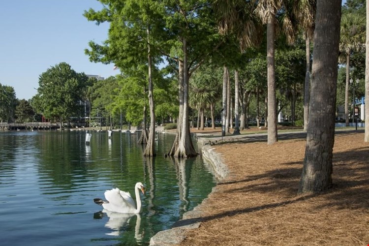 Camden Orange Court Image 26