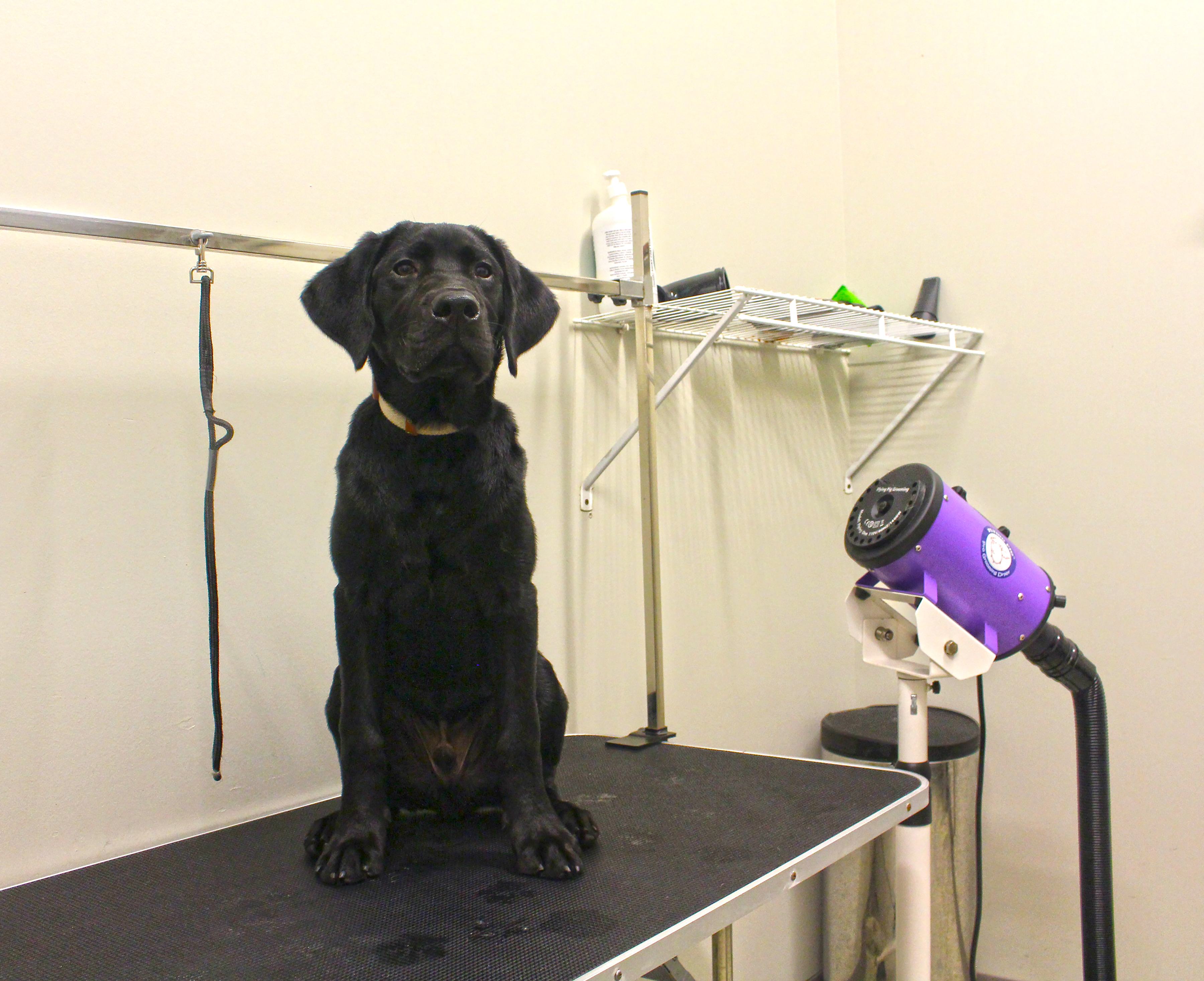 Cortona at Forest Park Image 25