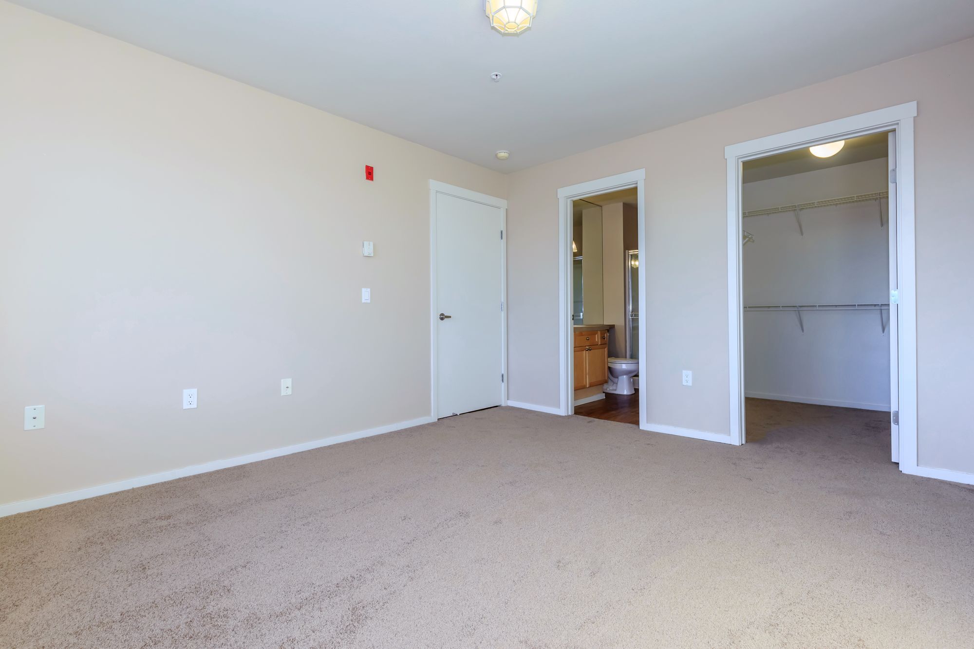 St. Theodore on Roosevelt Image 14