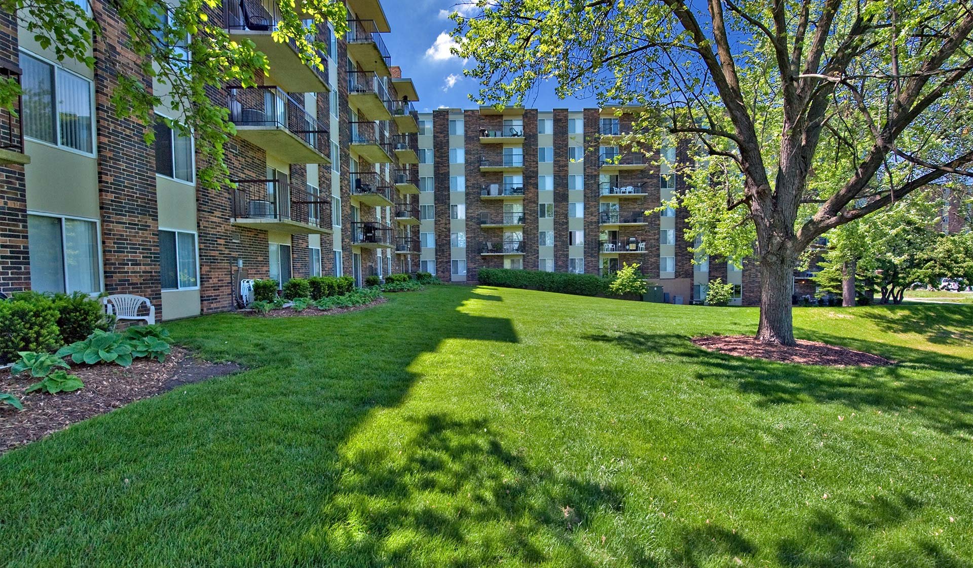 Pet-friendly apartments, dogs and cats allowed