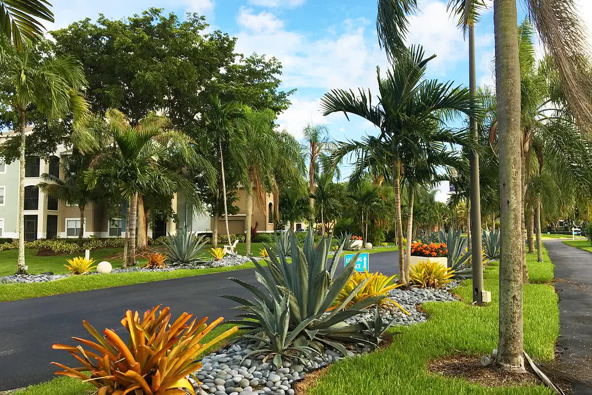 Youâ€™ll be welcomed home by fountains and a dramatic, palm tree-lined entrance!