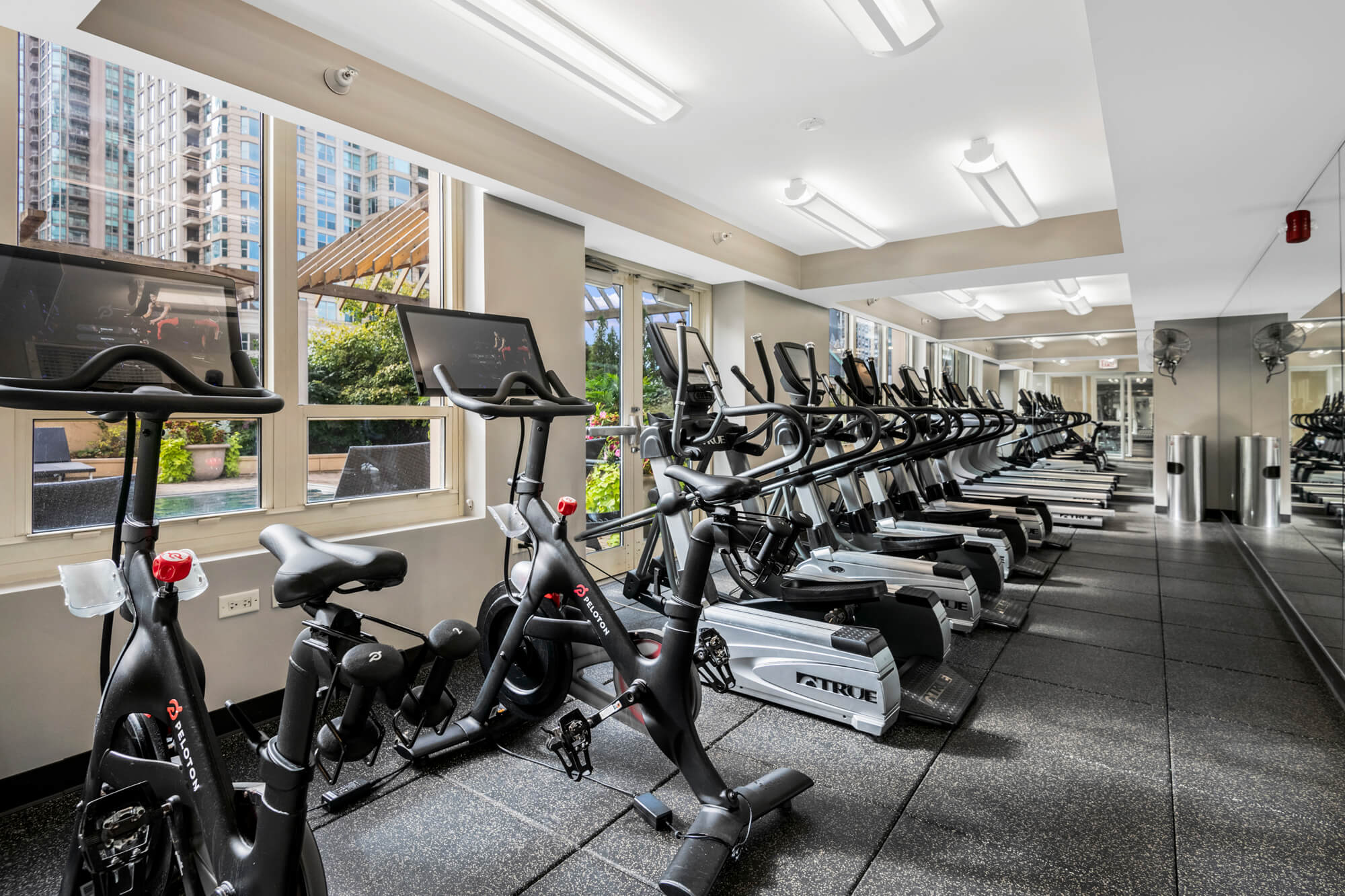 The Bernardin Image 15