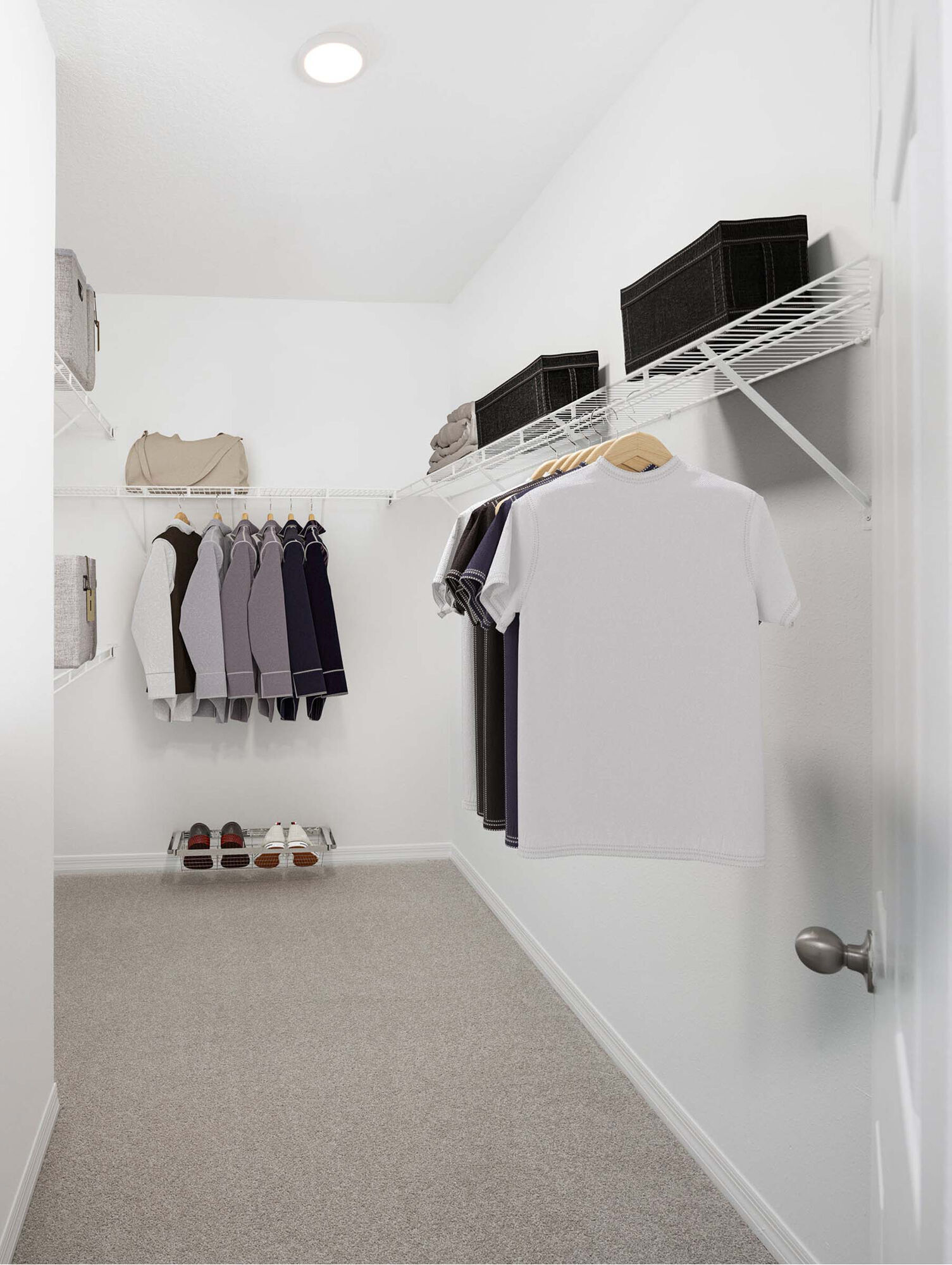 Camden Royal Palms Image 9