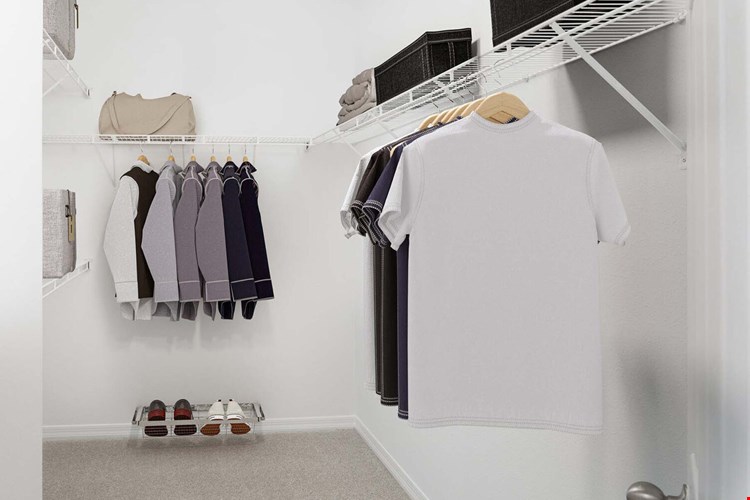 Camden Royal Palms Image 9