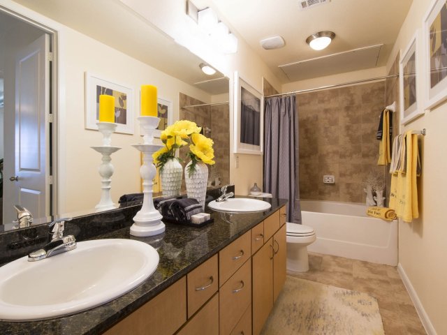 Briar Forest Lofts  - Houston, TX