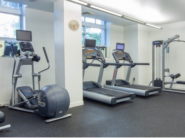 Wilshire Margot Image 6