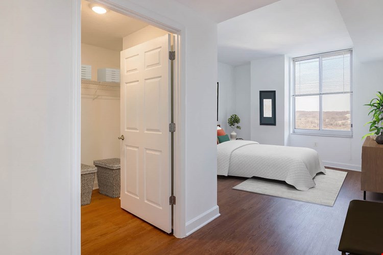1800 Oak Image 25