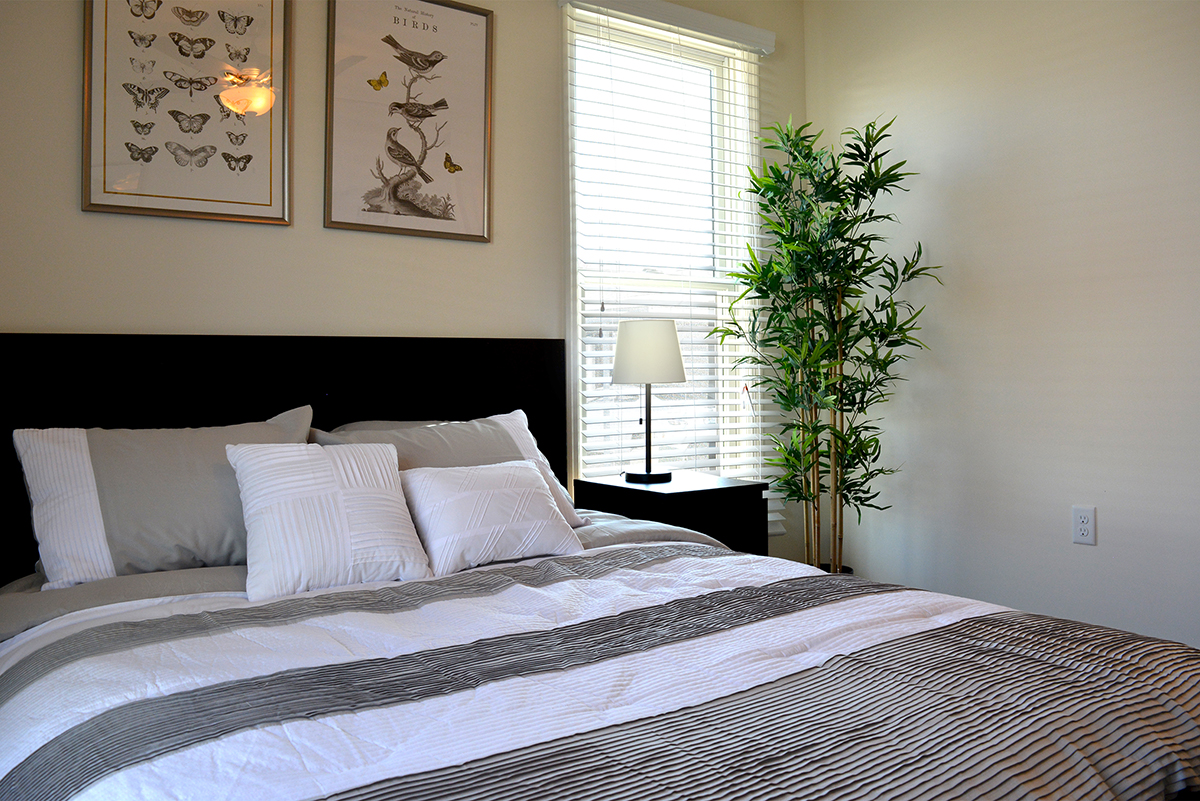 Promenade at New Town Image 12